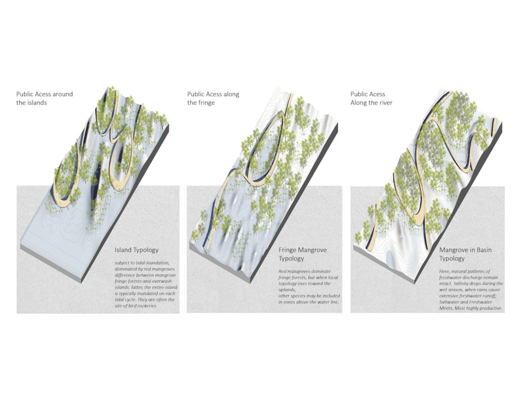 Types in the Park - Harvard Graduate School of Design