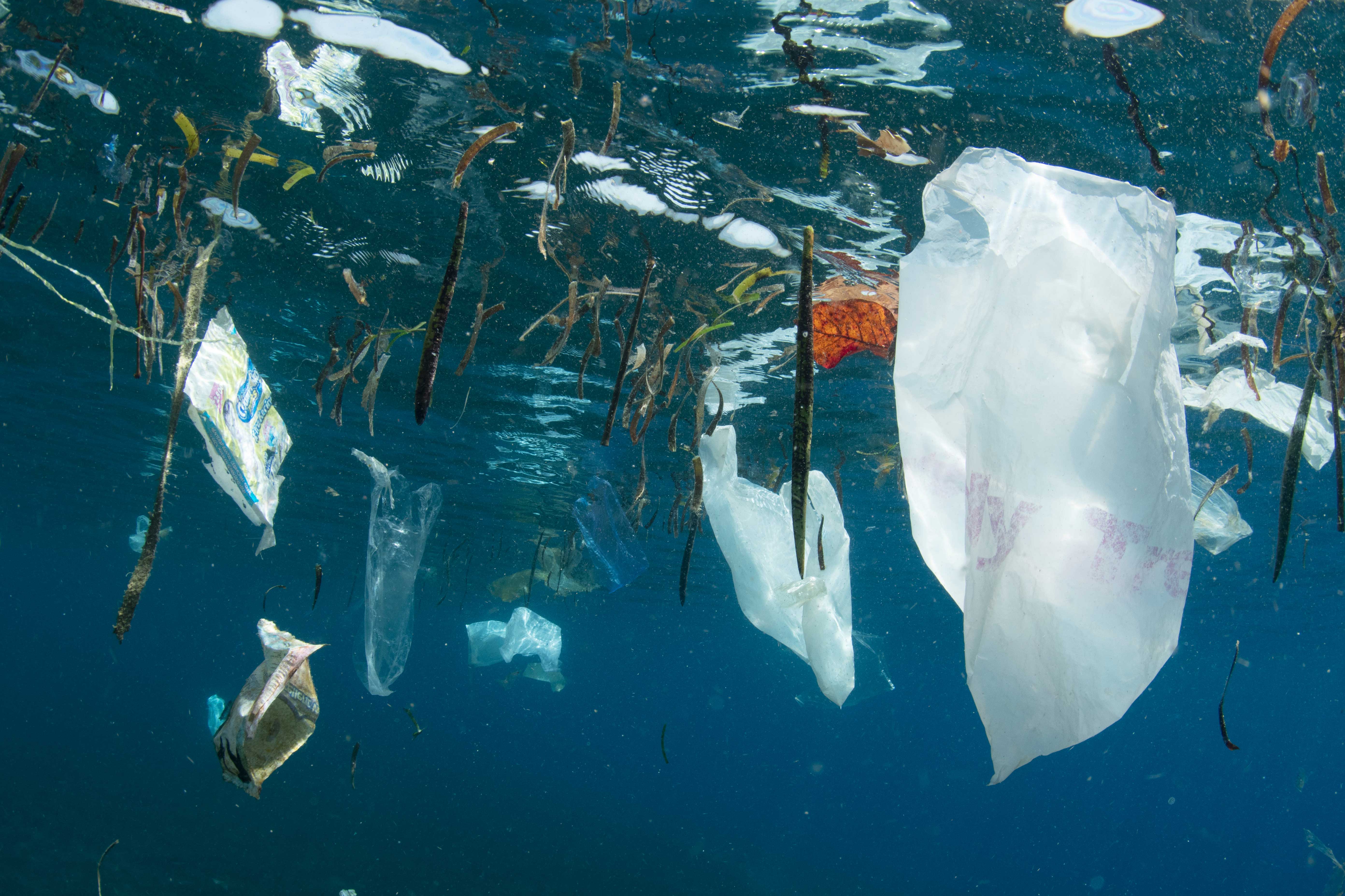 Пластик в воде. Great Pacific Garbage Patch. Пластиковые пакеты в океане. Пластиковый мусор в океане. Загрязнение полиэтиленовыми пакетами.