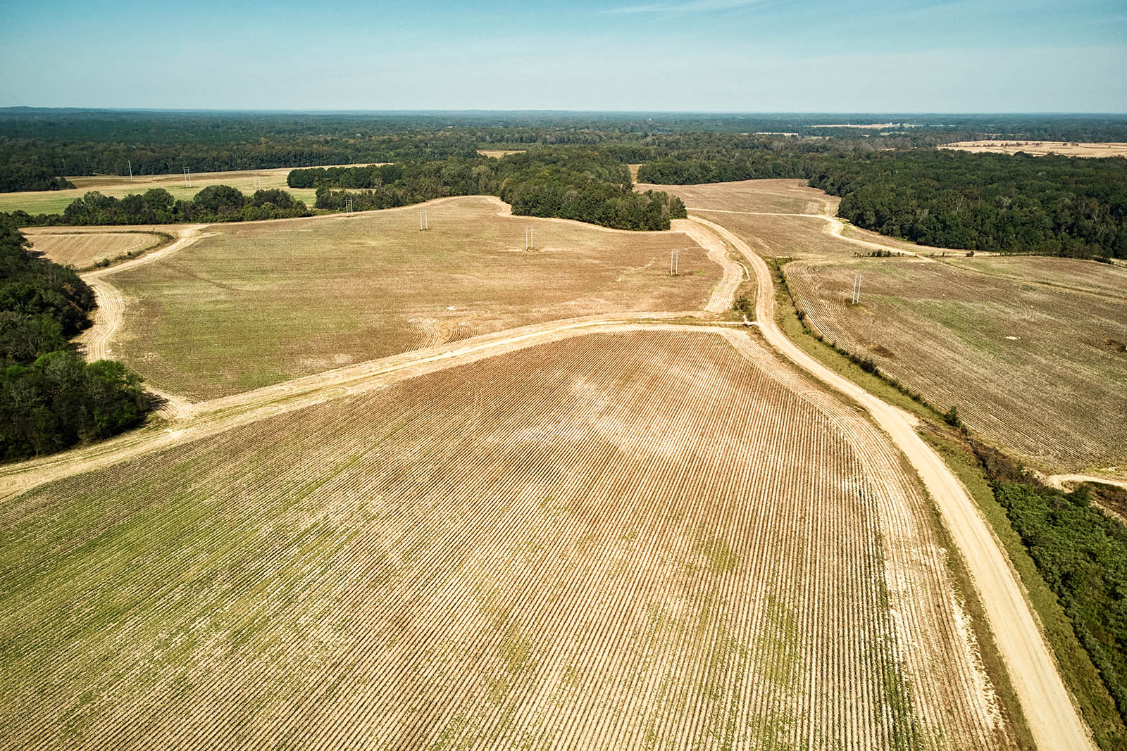 Designing Food Security in Rural Mississippi - Harvard Graduate School of  Design