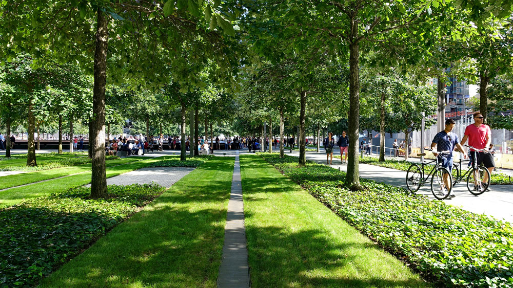 A photograph of green lawns bordered by trees and other plants at the National September 11 Memorial in New York.