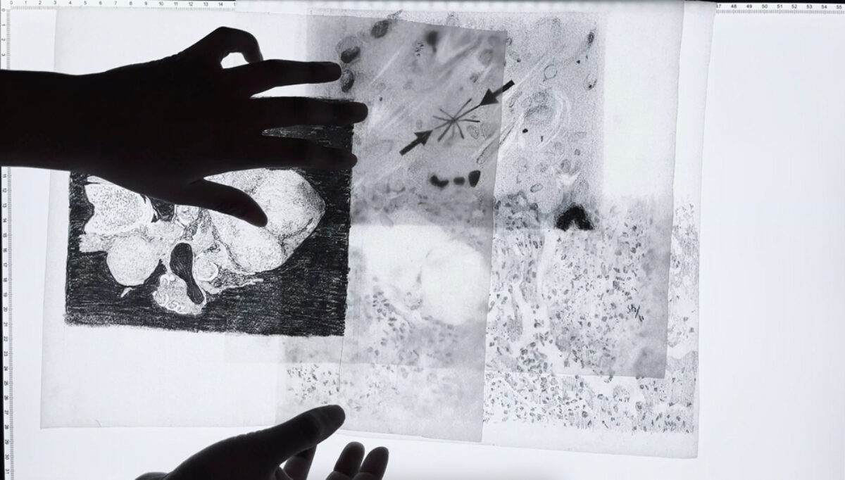 A film still from a video showing black-and-white drawings on transparent film displayed on a lightbox. Two black silhouettes of two hands appear over the drawings.