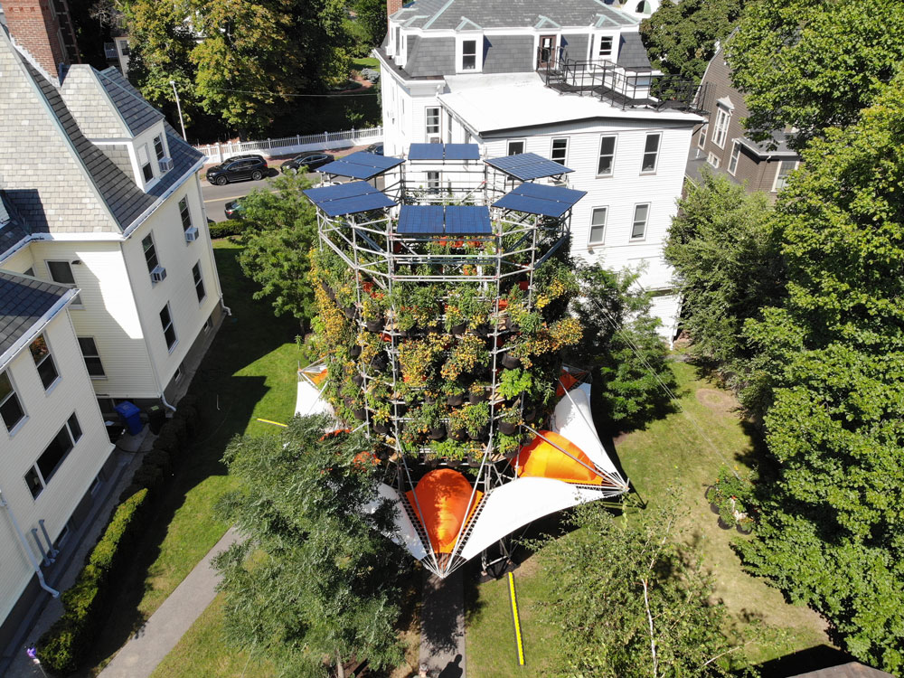 An aerial view of Belinda Tato's Polinature project. A cylindrical scaffolding structure topped by Solar panels and ringed with plants stands in a Cambridge backyard.