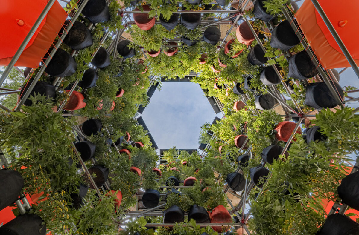 A photograph of Belinda Tato's Polinature project. The view, facing directly upward, shows rings of plants hanging from scaffolding.